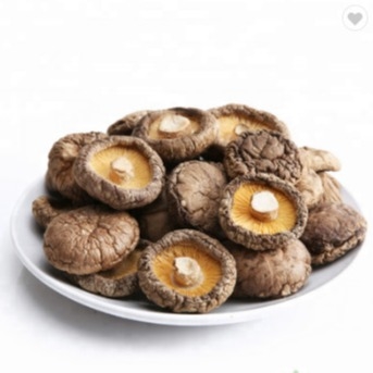 Sağlıklı Kuru Shiitake Mantarı 1kg Pürüzsüz Yüzey 2 Yıl Raf Ömrü