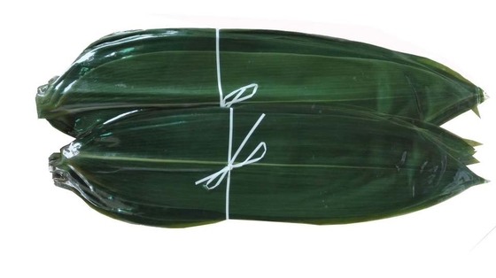 Suşi Dekorasyonu Sashimi Taze Bambu Yaprakları Zongye 7.5cm