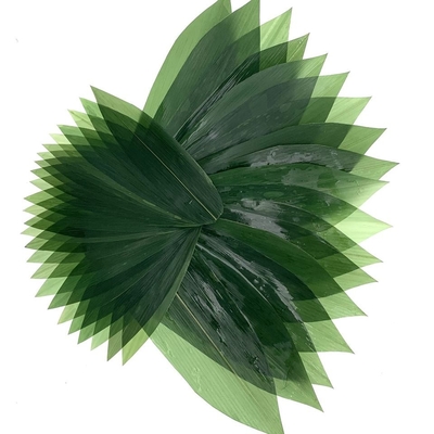Suşi Dekorasyonu Sashimi Taze Bambu Yaprakları Zongye 7.5cm