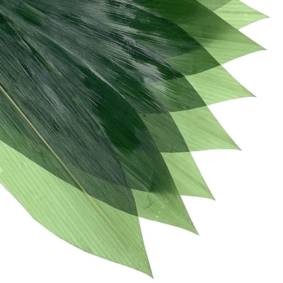 Suşi Dekorasyonu Sashimi Taze Bambu Yaprakları Zongye 7.5cm