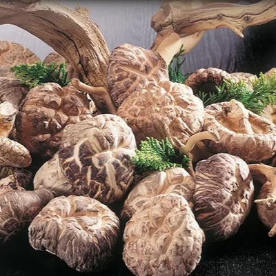 Sağlıklı Kuru Shiitake Mantarı 1kg Pürüzsüz Yüzey 2 Yıl Raf Ömrü