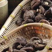 Sağlıklı Kuru Shiitake Mantarı 1kg Pürüzsüz Yüzey 2 Yıl Raf Ömrü