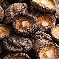 Sağlıklı Kuru Shiitake Mantarı 1kg Pürüzsüz Yüzey 2 Yıl Raf Ömrü