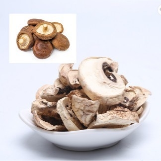 10x10mm Kahverengi Japon Kuru Shiitake Mantar Yetiştirme Torbası Toplu
