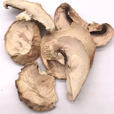 10x10mm Kahverengi Japon Kuru Shiitake Mantar Yetiştirme Torbası Toplu