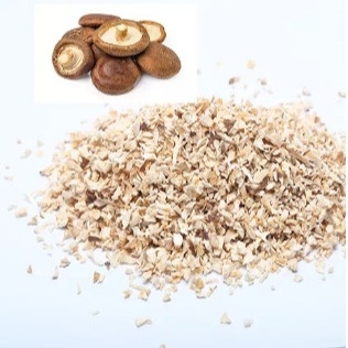 10x10mm Kahverengi Japon Kuru Shiitake Mantar Yetiştirme Torbası Toplu