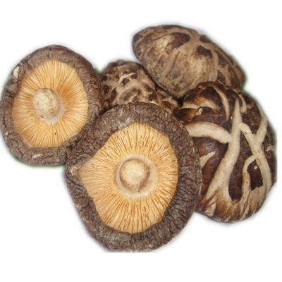 HACCP 1kg 3kg Kuru Shiitake Mantarı Japon İyi Tadı