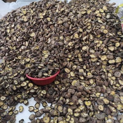 Doğal Dökme Kuru Shiitake Mantarı Kurutulmuş Shiitake Mantarları Organik