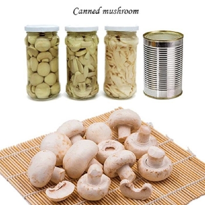 Champignon Mantar Konserve Meyve Sebzeler Champing Mantar Dilimleri